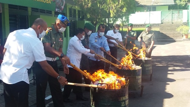 TNI Musnahkan 162 Kg Ganja Kering Dan 1.687 Miras Di Papua