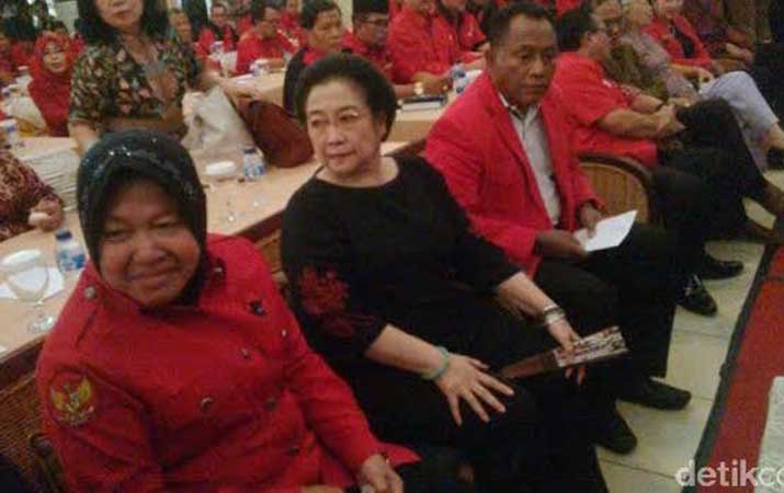 Risma Sudah Beli Kodok Seperti Yang Disarankan Mega