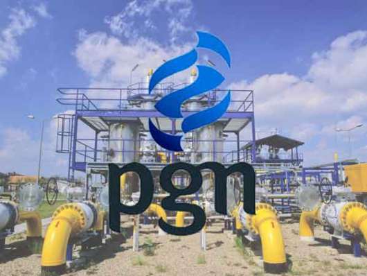 PGN Komit Salurkan Gas ke Pembangkit PLN Muara Tawar