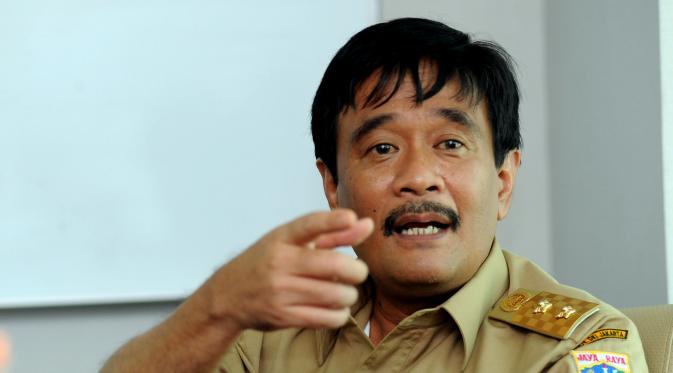 Djarot: Agak Sulit Mencapai Harga Rp 80 Ribu Per Kilogram