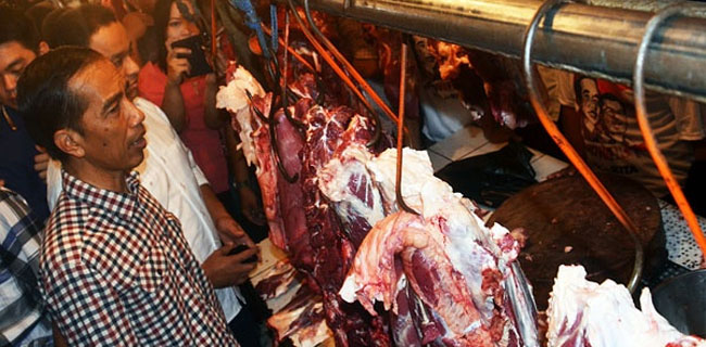 Semua Permintaan Jokowi Dituruti Menteri, Tapi Tak Ada Terealisasi Karena Mustahil