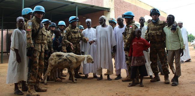 Pasukan Garuda Bagikan 341 Hewan Kurban Di Darfur