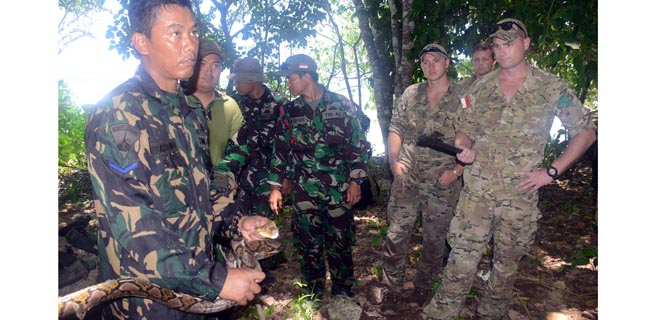 Prajurit Marinir Ajari Tentara AS Tangkap Ular