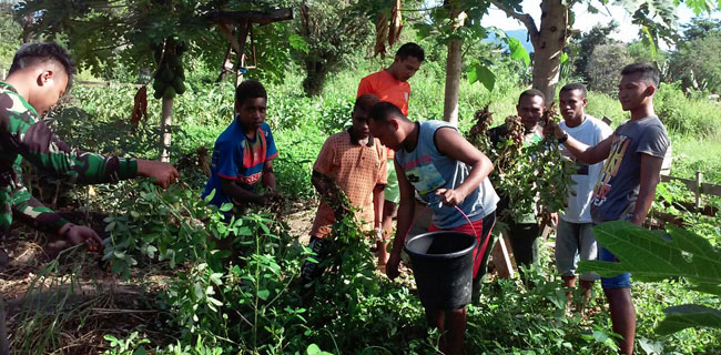 Satgas Pamrahwan Bentuk Kelompok Tani Di Papua Barat