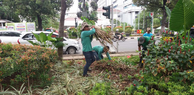 Sejumlah Petugas Rapikan Taman Di Depan Balaikota