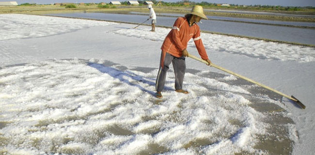 Produksi Garam Nyungsep, Petani Nyerah Uber Target