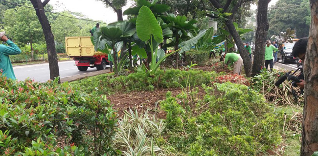 Perbaikan Taman Balaikota Cuma Butuh Dana Rp 60 Juta