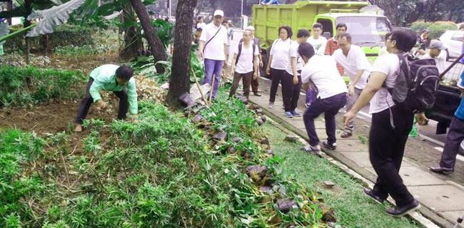 Taman Rusak Sudah Ditanami Pohon Lagi