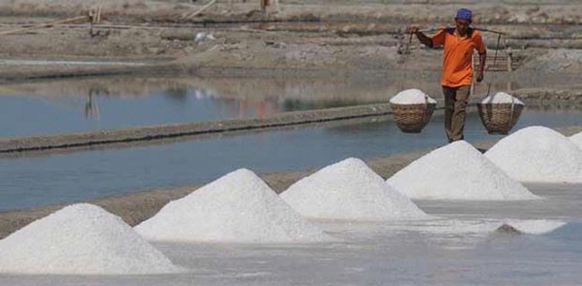 Garam Lokal Belum Bisa Penuhi Kebutuhan Industri CAP