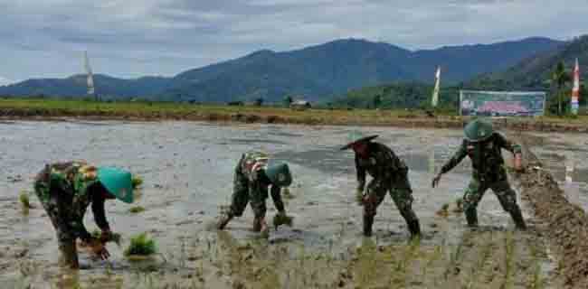 Sekjen API: Tupoksi TNI Bukan di Sektor Pangan<i>!</i>