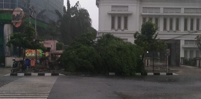 Hujan Lebat Disertai Angin Kencang, Pohon Di Sejumlah Titik Tumbang