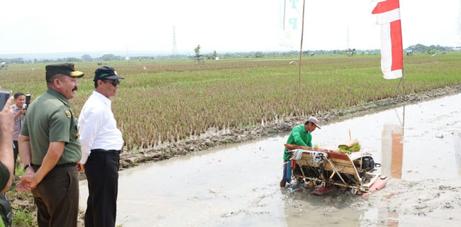 Saksikan Panen Raya