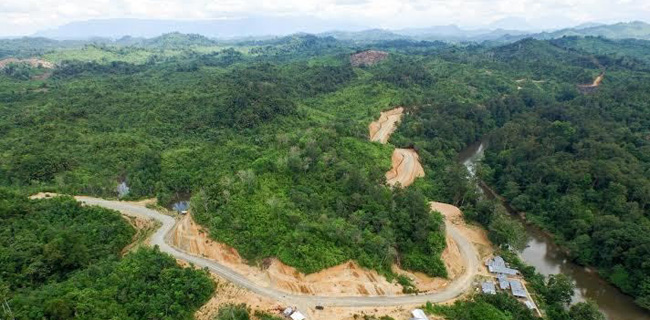 Selamatkan Hutan Kalimantan