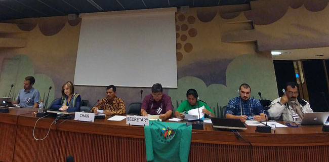 Selangkah Lagi Menuju Deklarasi Hak Asasi Petani Dan Masyarakat Pedesaan Di PBB