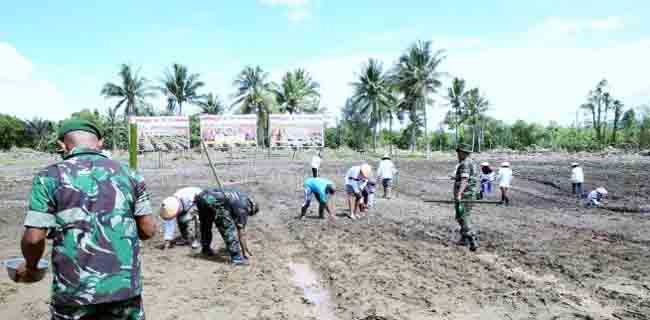 Pelibatan TNI Untuk Urus Pangan Masih Dibutuhkan