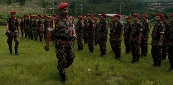 Komandan Kokam Muhammadiyah: Gebuk Saja Tjiptaning Pak Jokowi, Berani Tidak?