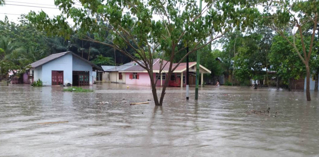 Kebun Jagung Tanpa Konservasi Jadi Penyebab Gorontalo Rentan Banjir