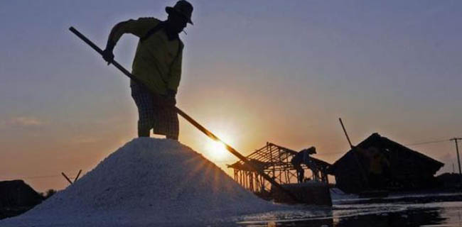 Indonesia Krisis Garam, Indutsri Terancam