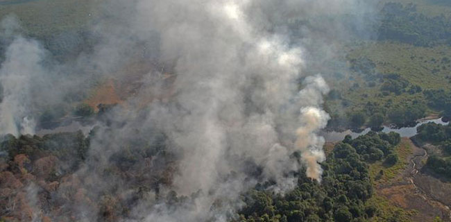 Buktikan Polda Riau Bela Pembakar Hutan, Walhi Ajukan Praperadilan