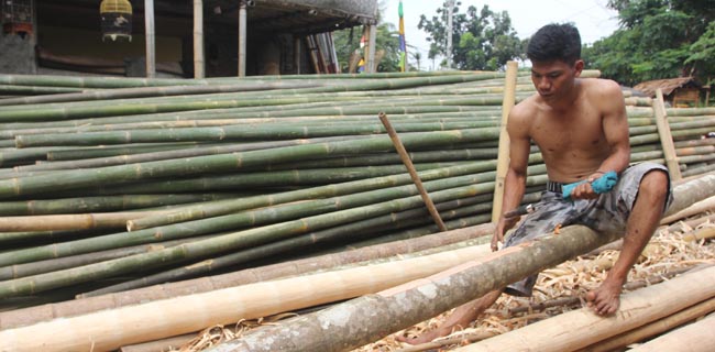 Bersihkan Batang Pinang