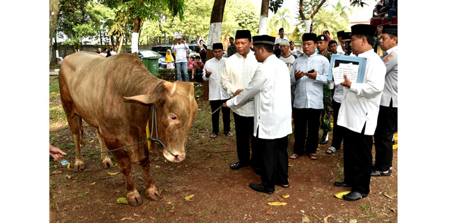 Kurban Mabes TNI