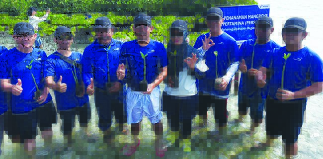 Pertamina Tanam 2 Ribu Bibit Mangrove Di Pulau Bira Besar