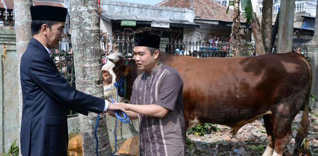 Idul Adha, Jokowi Bagi-bagi Hewan Kurban Dan Paket Sembako