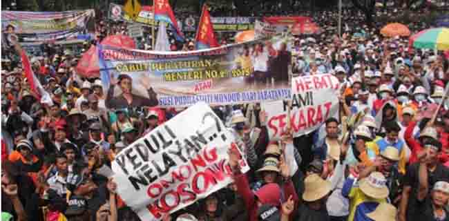 Penelitian IPB: Larangan Cantrang Merugikan Hingga Rp5,4 T Per Tahun