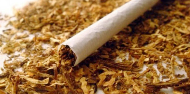 Industri Tembakau Di Ujung Tanduk