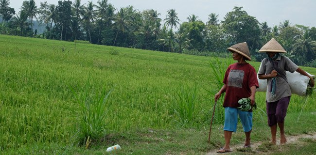 Dukung Kedaulatan Pangan Nasional, Ditjen SDA Genjot Pelaksanaan Kegiatan P3-TGAI