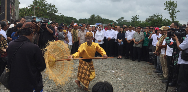 Mentan Kenalkan Varietas Padi Baru Anti Wereng