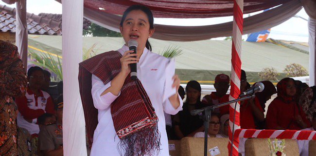 Menko Puan Pastikan Indonesia Konsisten Dukung Kemerdekaan Palestina