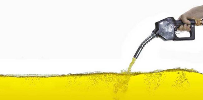 Industri Sawit Kita Tak Ada Matinya