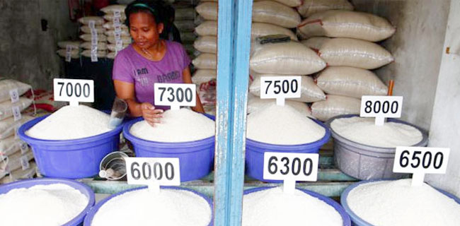 Daerah Panen Serentak, Harga Beras Mulai Jinak