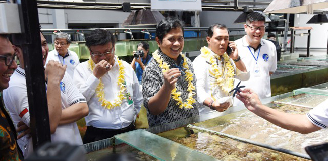 Budi Daya Koral Harus Miliki Manfaat Ekonomi