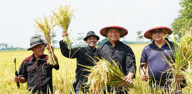 Petani Indramayu Bangga Cakada Ini Mau Turun Ke Sawah Dan <i>Ngarit</i>