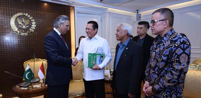 DPR Dorong Peningkatan Kerja Sama Indonesia-Pakistan