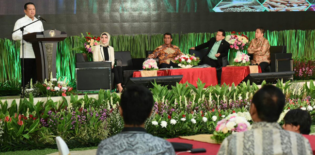 Impor Beras Polemik Dipicu Belum Adanya Data Pangan Valid