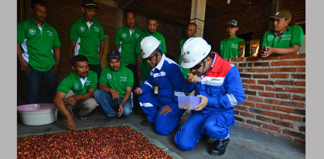 PGE Area Karaha Garap Kelompok Tani Kopi Di Tasikmalaya