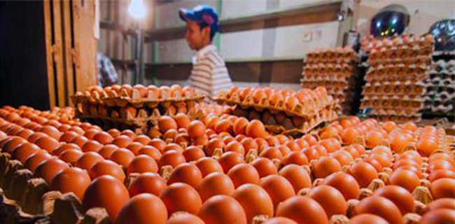 Piala Dunia Bukan Penyebab Kenaikan Harga Telur