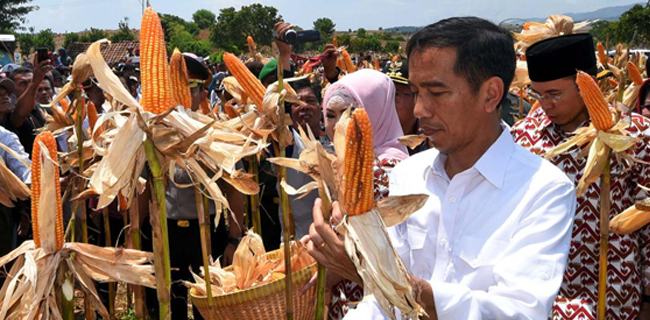 Jokowi Tak Bisa Ekspres Pilih Cawapres?