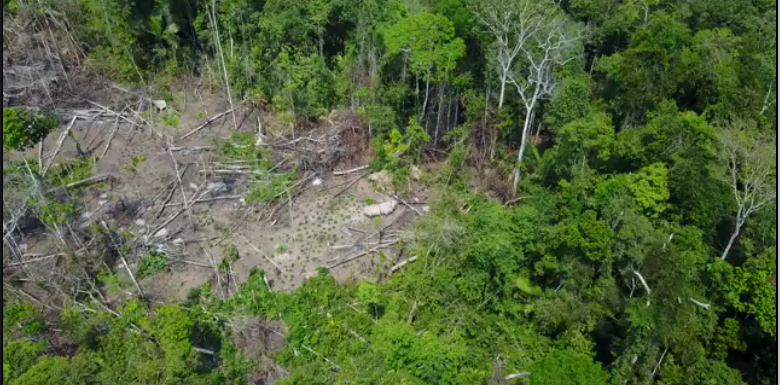 Suku Amazon Terasing Tertangkap Kamera Drone