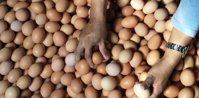 Telur Dan Pembantu Rumah Tangga Jadi Penyokong Inflasi Di Jateng