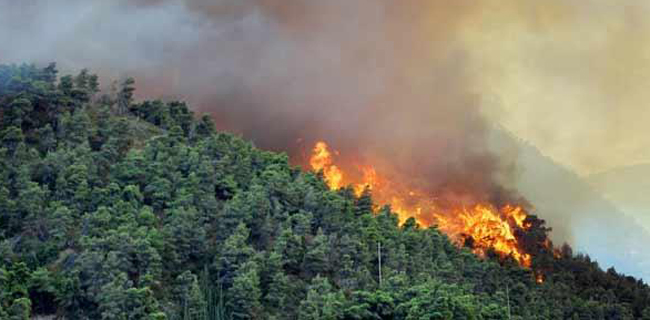 Helikopter Water Bombing  Turut Padamkan Kebakaran Hutan Di Kalbar