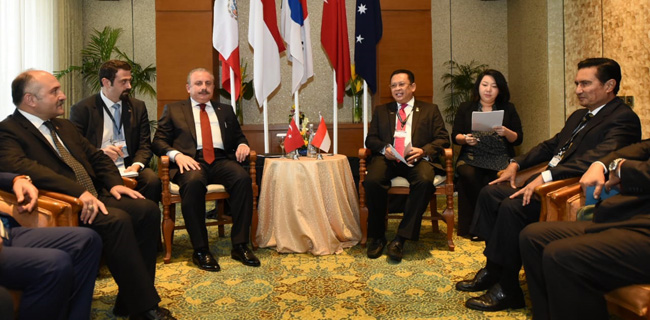 Parlemen Indonesia Dan Turki Diminta Konsisten Perjuangkan Isu Palestina