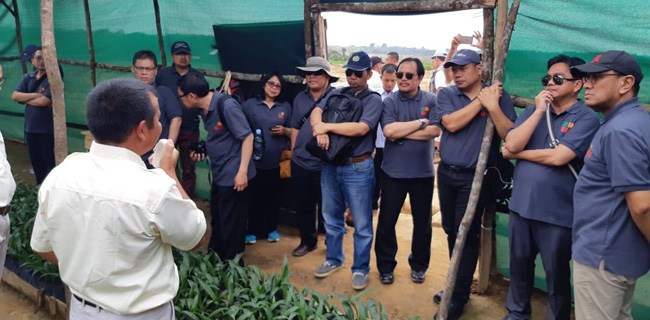 Diplomat Indonesia Diharapkan Promosikan Kelapa Sawit