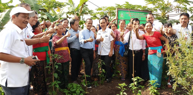 Kawasan Rumah Pangan Lestari Mampu Sejahterakan Keluarga