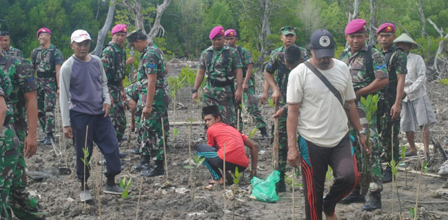 Marinir Tanam Mangrove Di Lampung