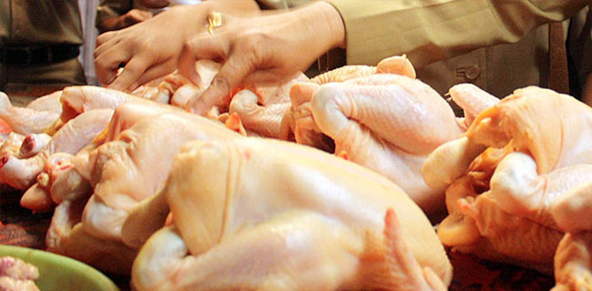 Pedagang Ngarep Daging Ayam Tak Melebihi Rp 24 Ribu Per Kilo