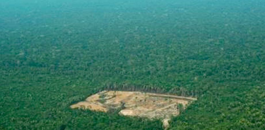 Deforestasi Hutan Hujan Amazon Tahun Ini Terburuk Sejak Satu Dekade